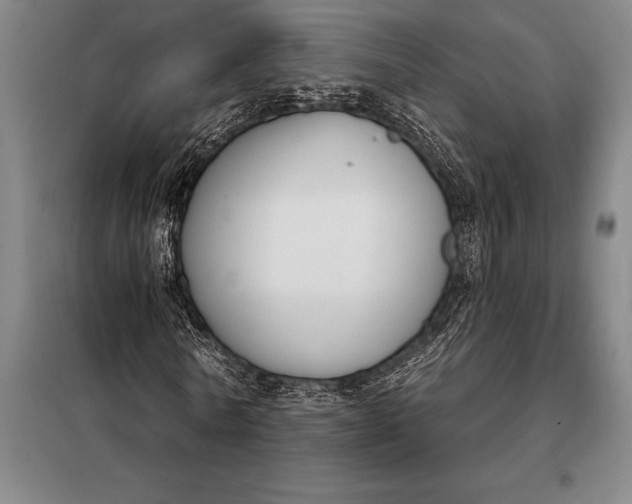 X0000098140770200805011343