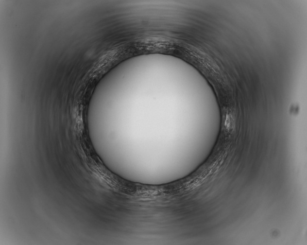X0000098140771200805011343