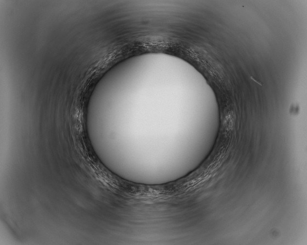 X0000098140772200805011343