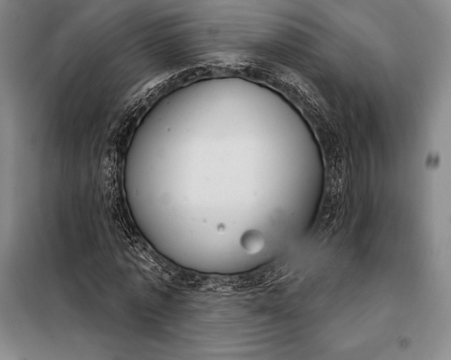 X0000098140773200805011343