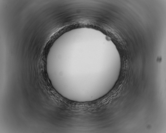 X0000098140776200805011343