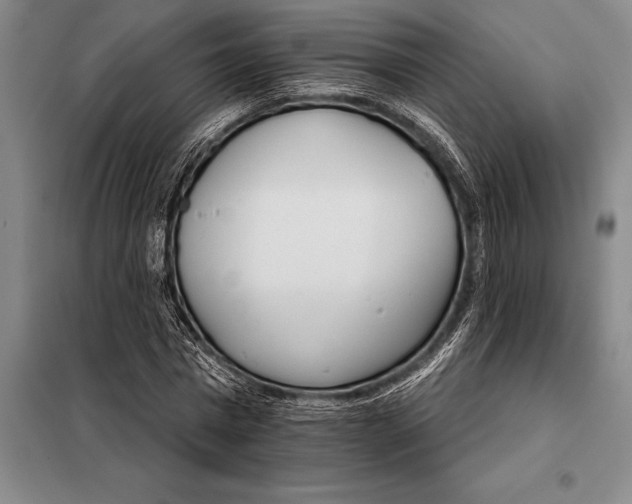 X0000098140777200805011343