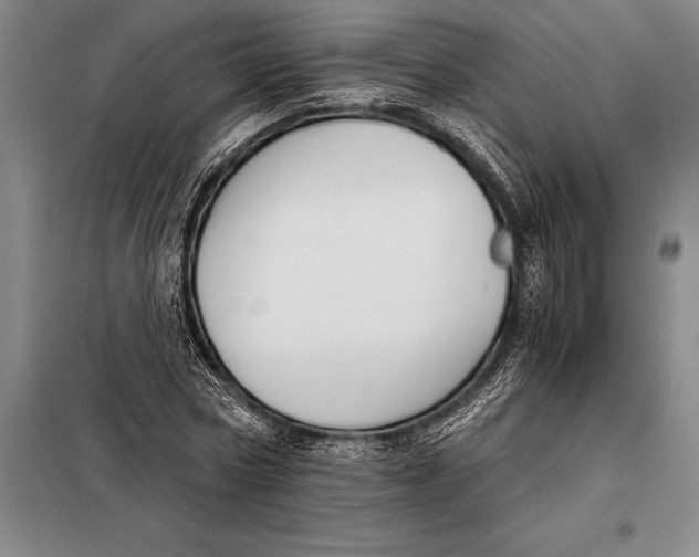 X0000098140778200805011343