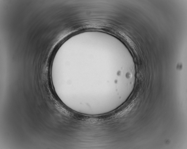 X0000098140779200805011343