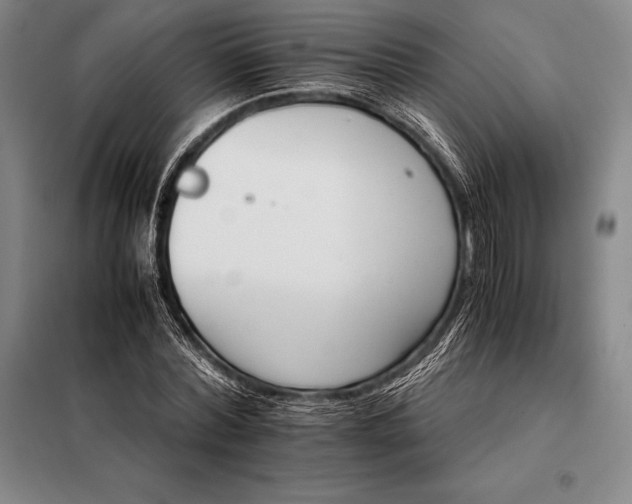 X0000098140780200805011343