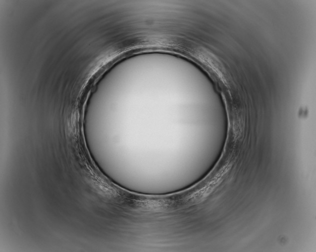 X0000098140781200805011343