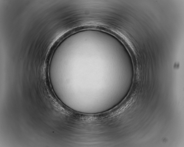 X0000098140783200805011343