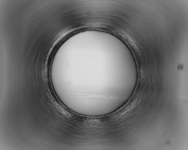 X0000098140784200805011342