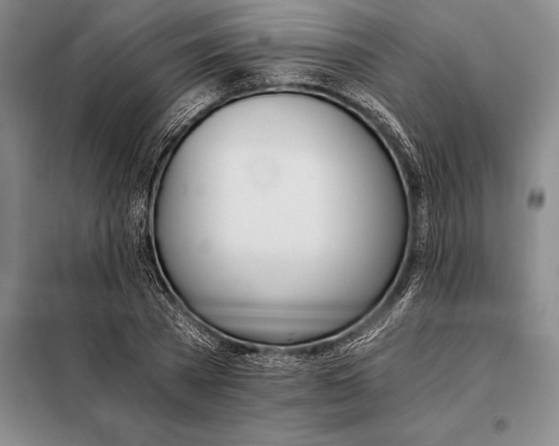X0000098140785200805011342
