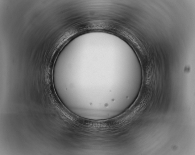 X0000098140786200805011342