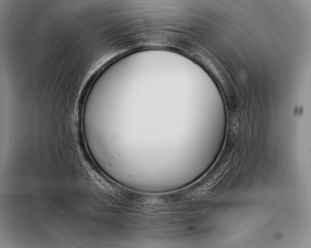 X0000098140787200805011342