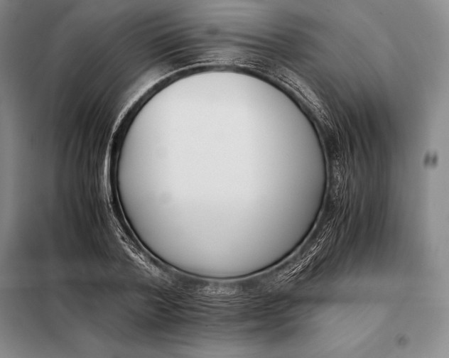 X0000098140788200805011342