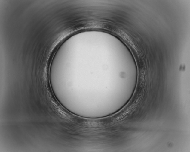 X0000098140789200805011342