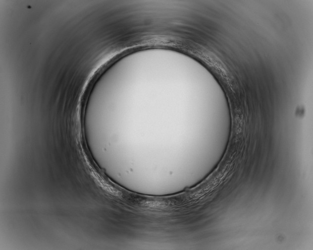 X0000098140792200805011342