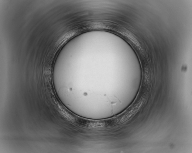 X0000098140793200805011342