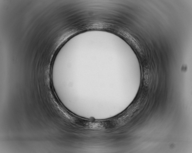 X0000098140794200805011342