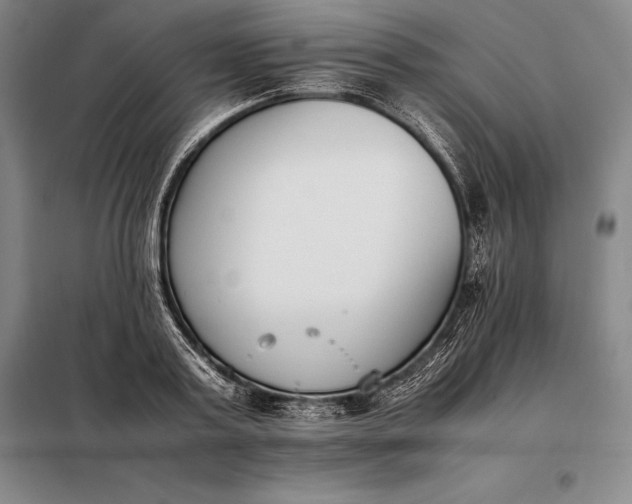 X0000098140795200805011342