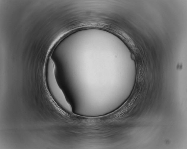 X0000098140796200805011342
