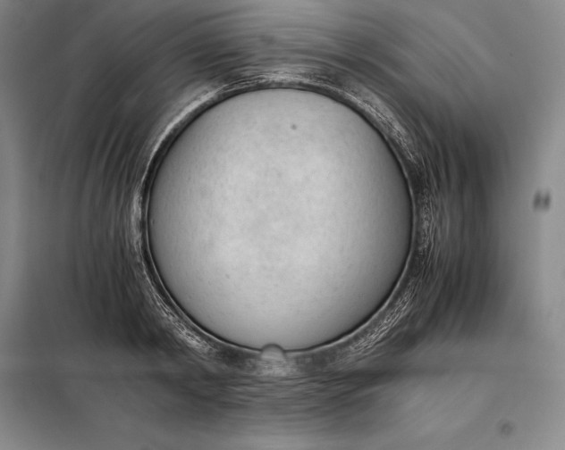 X0000098140798200805011342