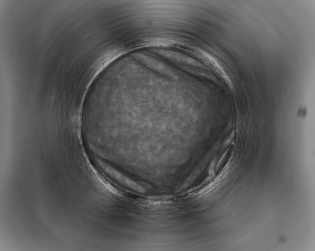 X0000098140802200805011342