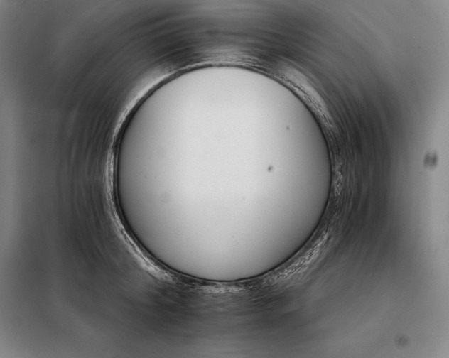 X0000098140804200805011342