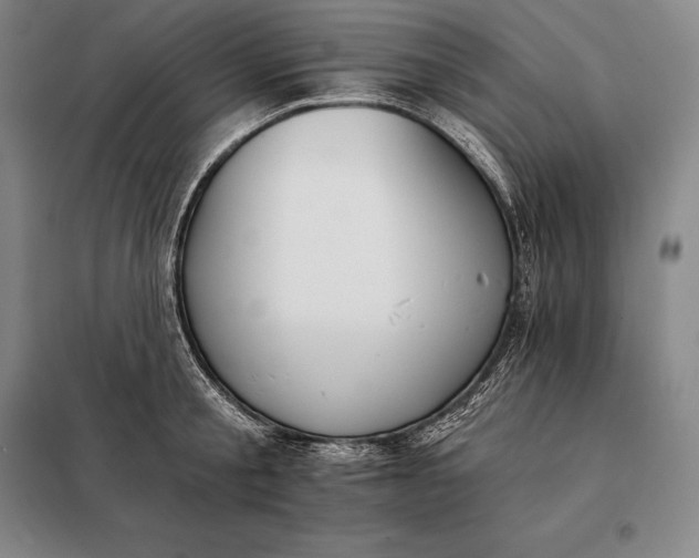 X0000098140805200805011342