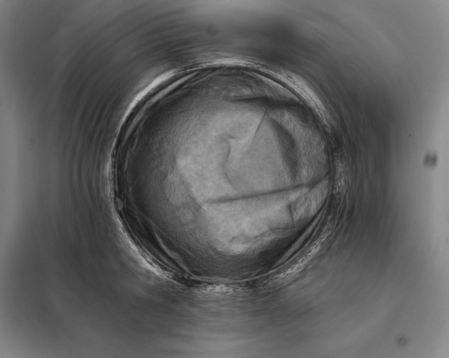 X0000098140806200805011342