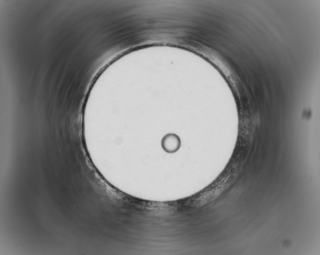 X0000098140807200805011342