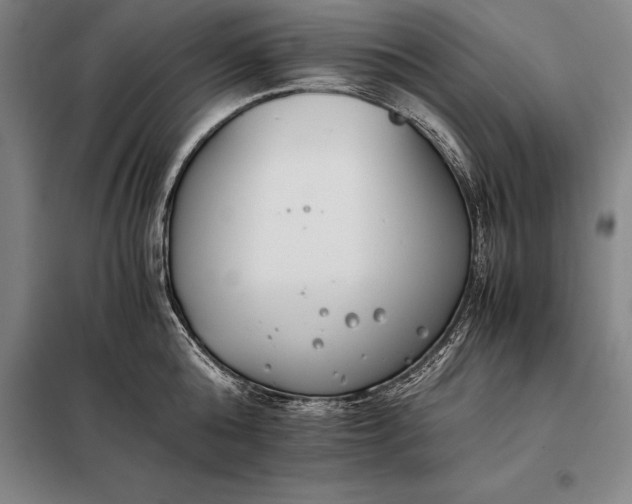 X0000098140808200805011342