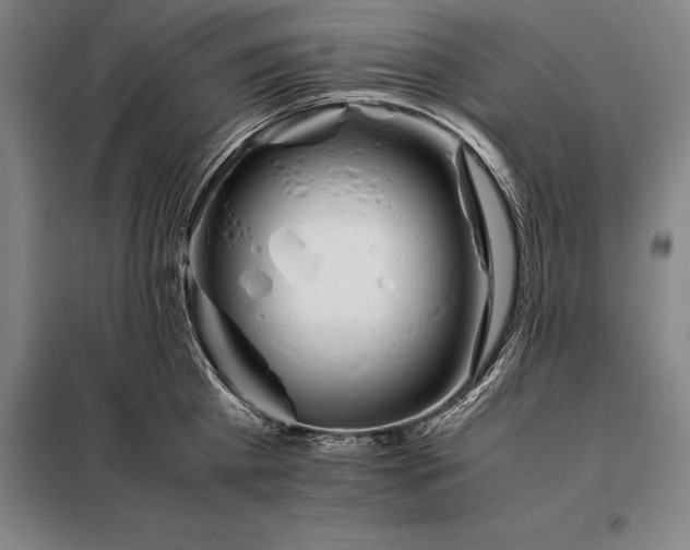 X0000098140809200805011342