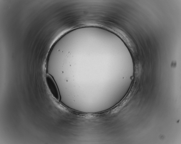 X0000098140814200805011342