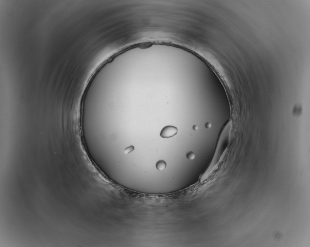 X0000098140815200805011342