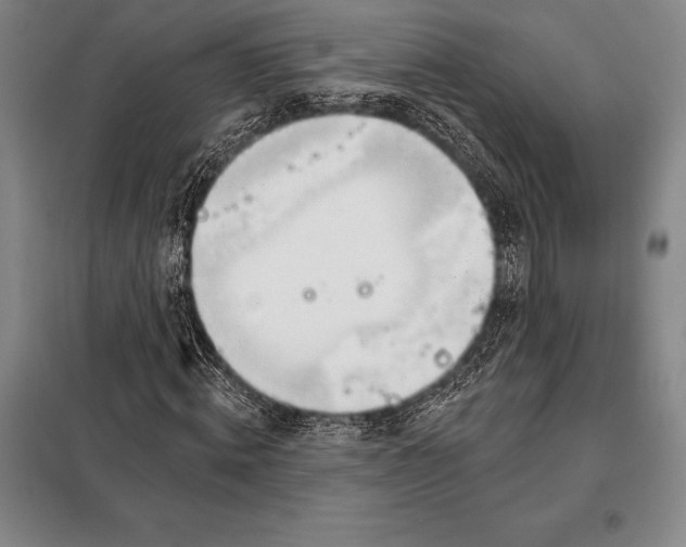 X0000098140820200805011341