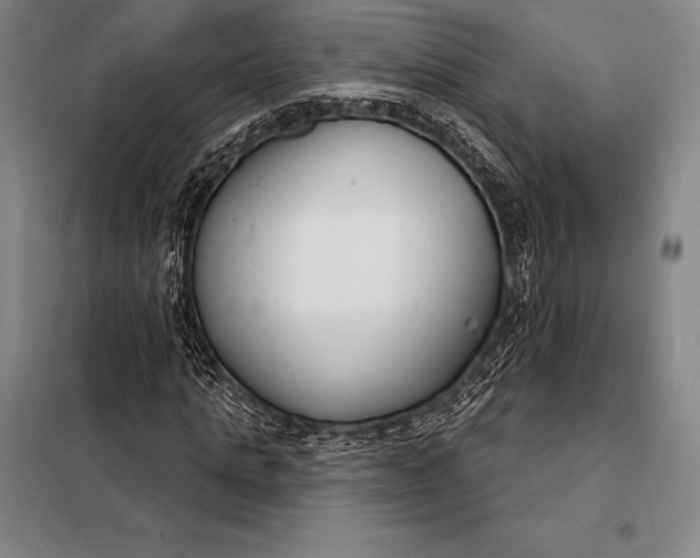 X0000098140821200805011341