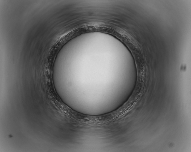 X0000098140822200805011341