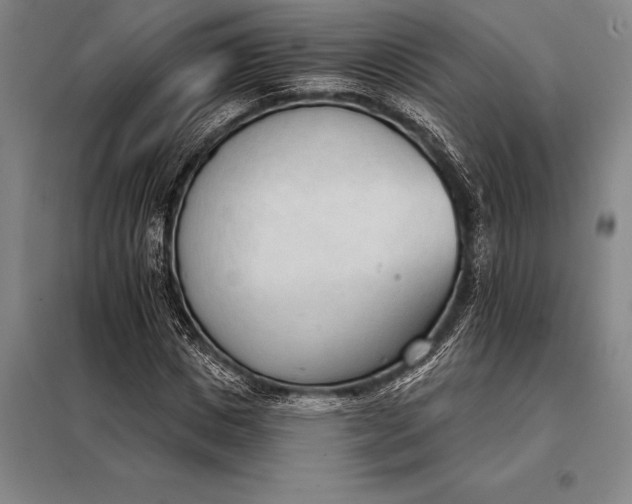 X0000098140825200805011342