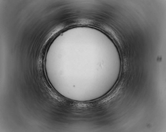 X0000098140827200805011342