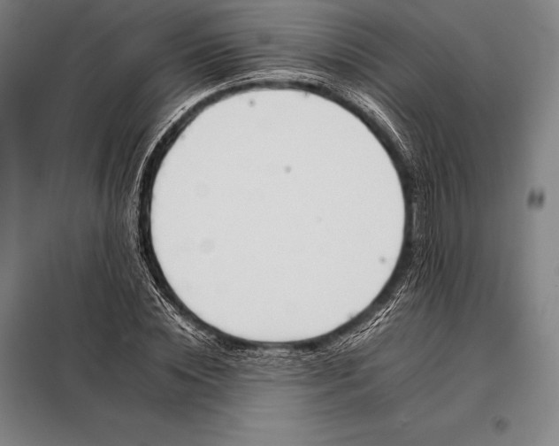 X0000098140828200805011342