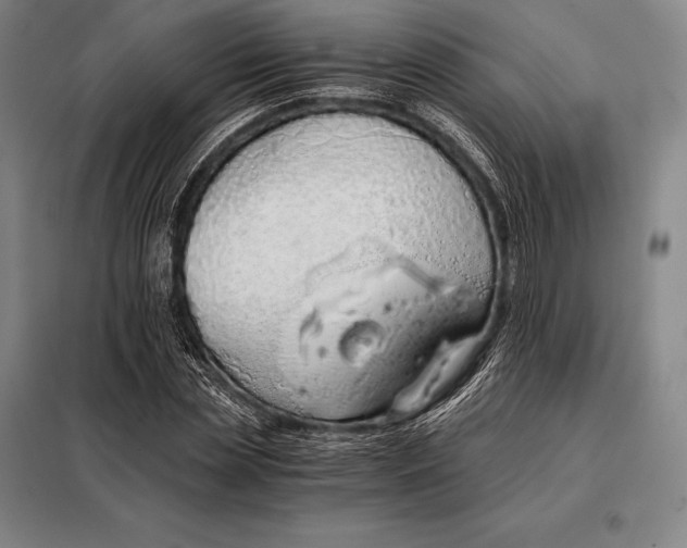X0000098140829200805011342