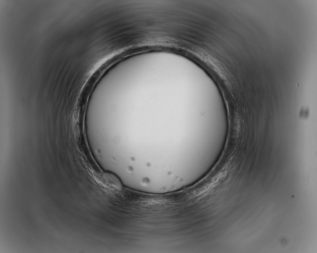 X0000098140830200805011342