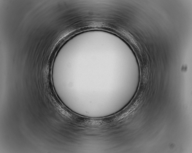 X0000098140831200805011342