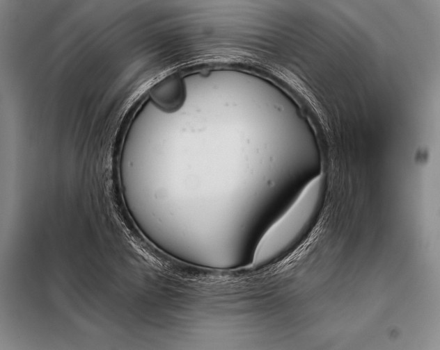 X0000098140834200805011342