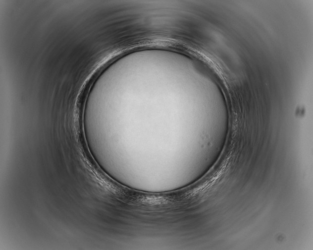 X0000098140835200805011342
