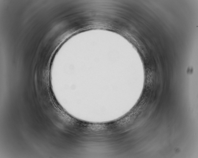X0000098140836200805011342