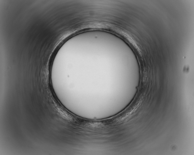 X0000098140837200805011342