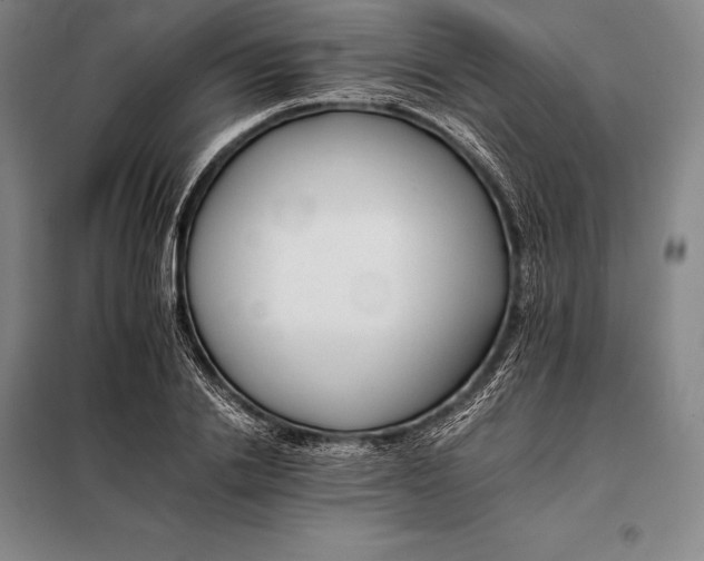X0000098140838200805011342