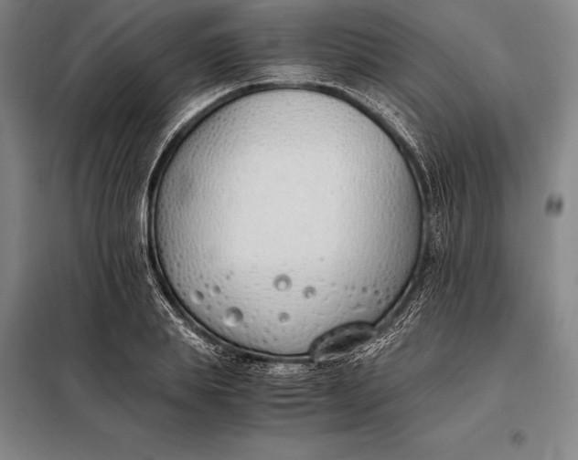 X0000098140839200805011342