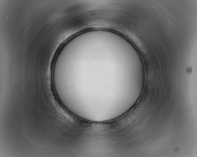 X0000098140840200805011342