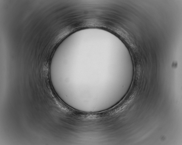 X0000098140841200805011342