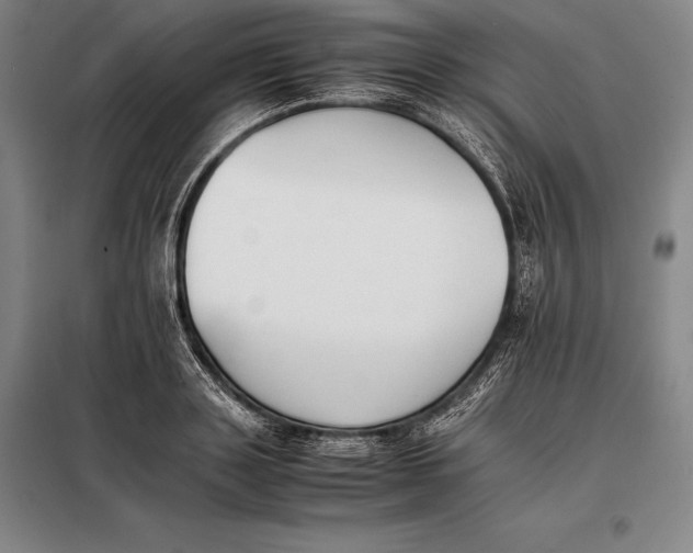 X0000098140843200805011342